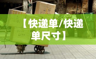 怎么查快递网点地址:怎么查快递网点地址查询
