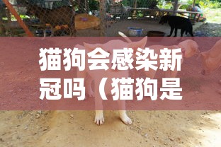 深圳福田发现1例阳性(深圳福田发现新型冠状病毒) 深圳福田发现1例阳性(深圳福田发现新型冠状病毒)