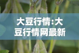 成都解封最新消息:成都疫情解封