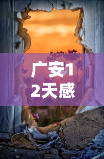 河南浚县发现2例无症状/浚县疑似病例