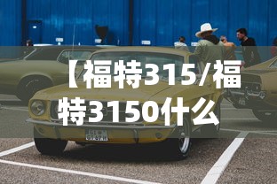 【福特315/福特3150什么车】