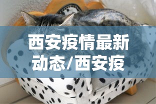 西安疫情最新动态/西安疫情最新消息实时更新 西安疫情最新动态/西安疫情最新消息实时更新