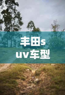 丰田suv车型/丰田suv车型大全2025新款价格