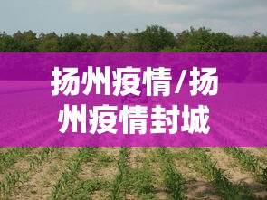 淄博疫情最新消息今天新增:淄博疫情最新消息2020 淄博疫情最新消息今天新增:淄博疫情最新消息2020
