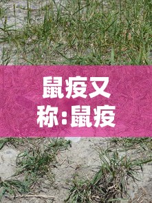 鼠疫又称:鼠疫又称单选 鼠疫又称:鼠疫又称单选