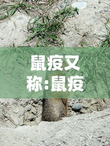 【安徽感染者或非零号,安徽新型肺炎疑似病例是哪里的】 【安徽感染者或非零号,安徽新型肺炎疑似病例是哪里的】