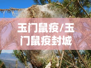 【31省新增确诊10例均为境外输入/31省新增确诊病例境外输入】 【31省新增确诊10例均为境外输入/31省新增确诊病例境外输入】