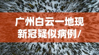 【端午节图片2022,端午节图片2026】