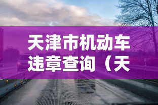 天津市机动车违章查询(天津机动车违法信息查询) 天津市机动车违章查询(天津机动车违法信息查询)