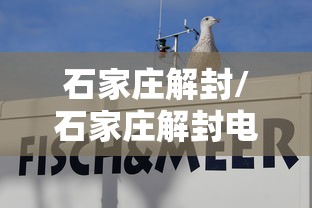 石家庄解封/石家庄解封电话卡的电信营业厅 石家庄解封/石家庄解封电话卡的电信营业厅