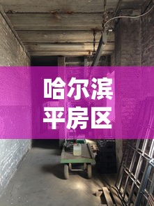 哈尔滨平房区发现2例阳性感染者:哈尔滨平房确诊轨迹 哈尔滨平房区发现2例阳性感染者:哈尔滨平房确诊轨迹