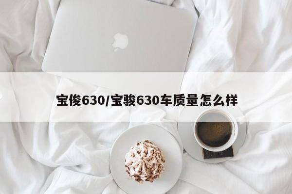 宝俊630/宝骏630车质量怎么样