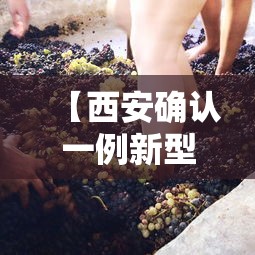 【西安确认一例新型冠状病毒/西安确诊新型肺炎病例】 【西安确认一例新型冠状病毒/西安确诊新型肺炎病例】