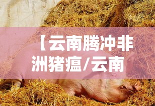 【黑龙江新增本土7例/黑龙 江新增本土确诊11例】 【黑龙江新增本土7例/黑龙 江新增本土确诊11例】