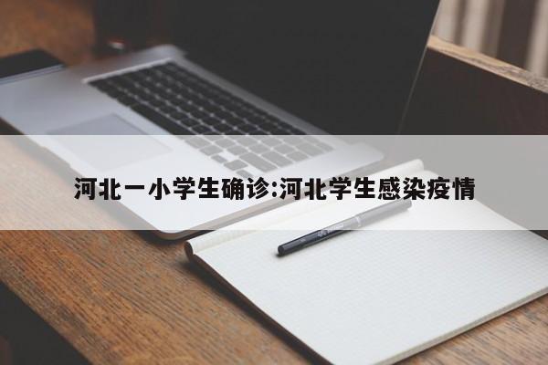 河北一小学生确诊:河北学生感染疫情